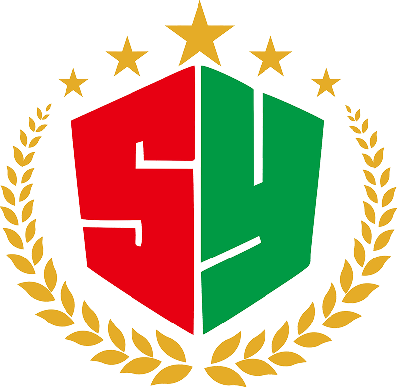 Logo QSY inferiore